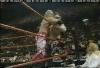 Edge on RAW 1998-11-16 w Brood vs LOD-0004845